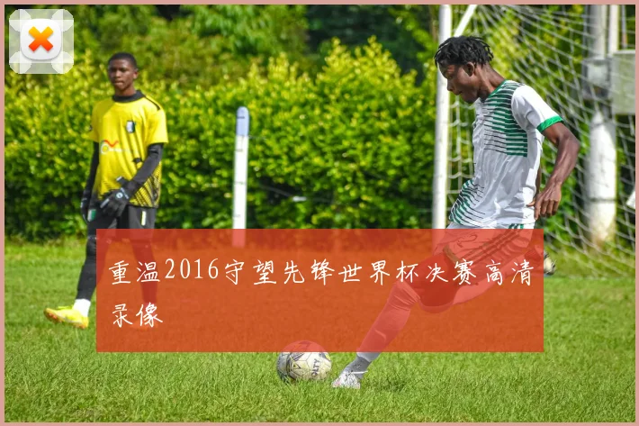 重温2016守望先锋世界杯决赛高清录像