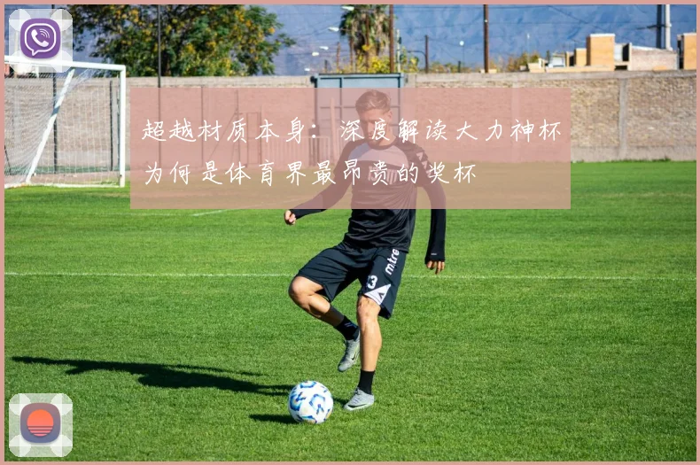 超越材质本身:深度解读大力神杯为何是体育界最昂贵的奖杯