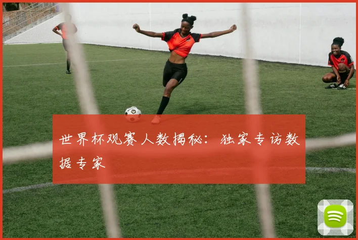 世界杯观赛人数揭秘:独家专访数据专家