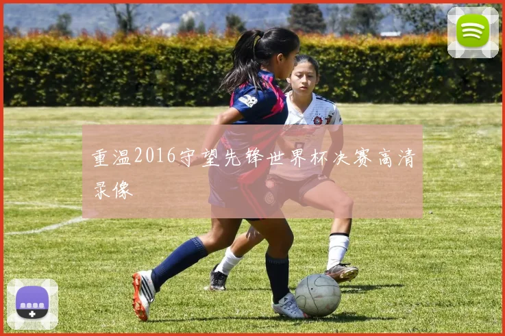 重温2016守望先锋世界杯决赛高清录像