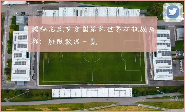 揭秘厄瓜多尔国家队世界杯征战历程:胜败数据一览