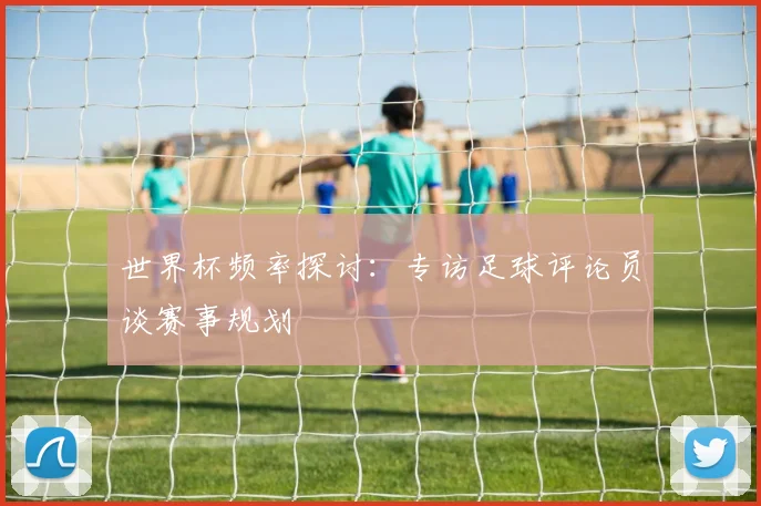 世界杯频率探讨：专访足球评论员谈赛事规划