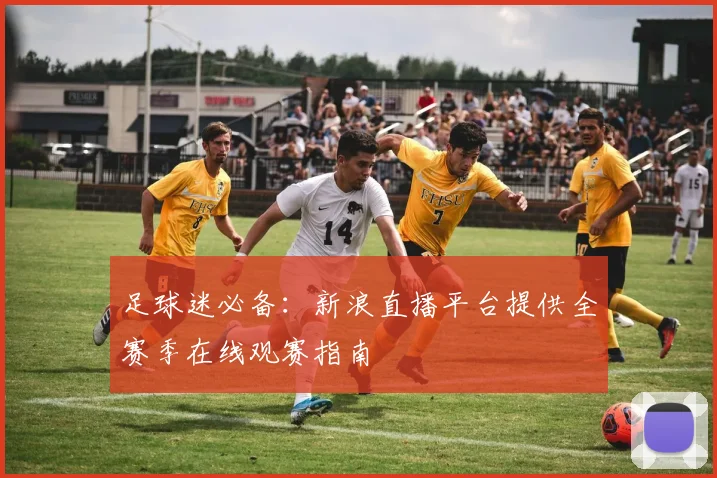 足球迷必备:新浪直播平台提供全赛季在线观赛指南